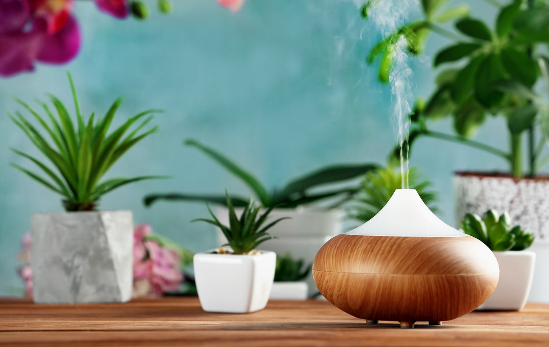 Using Diffuser to Eliminate Cannabis and food Smell From Clothes, Cars, and Rooms Quickly